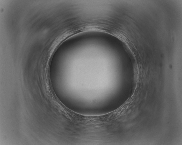 X0000062840289200601131331