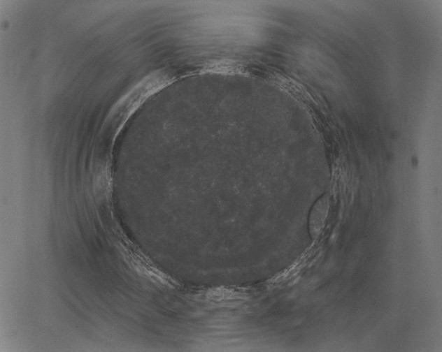 X0000062840290200601131331