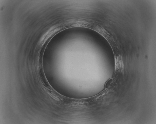 X0000062840291200601131331