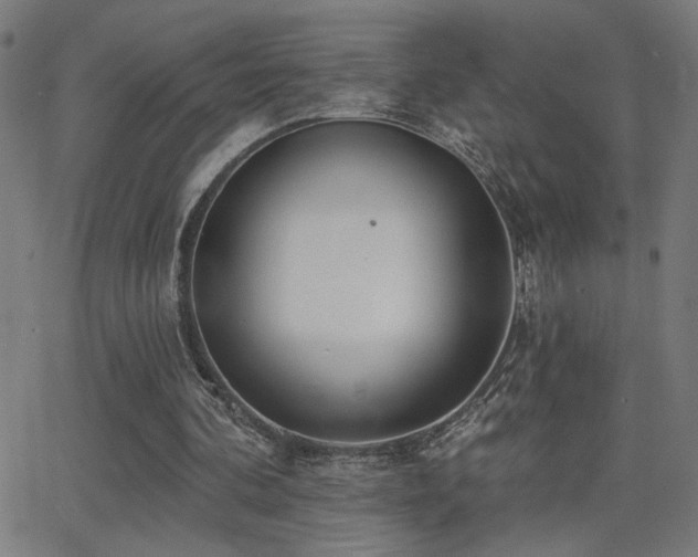 X0000062840292200601131331