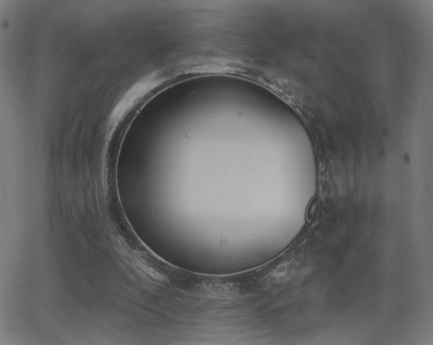 X0000062840296200601131331