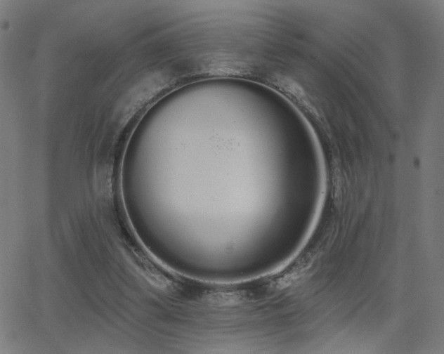 X0000062840299200601131331