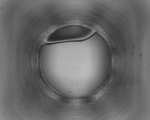 X0000062840301200601131331