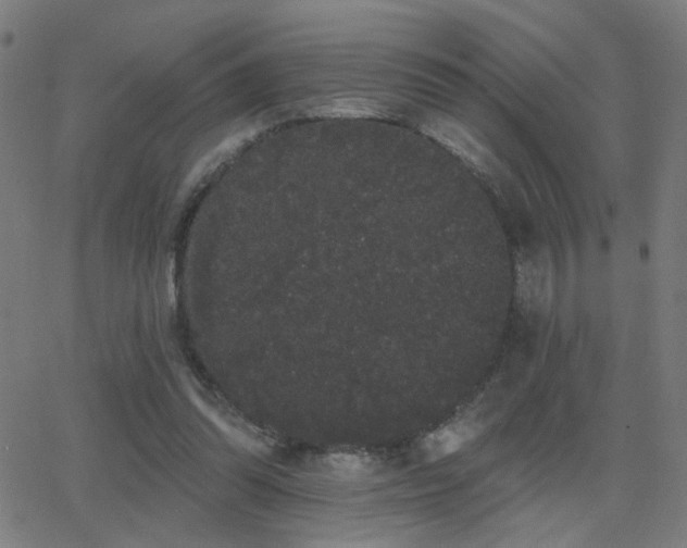 X0000062840302200601131331