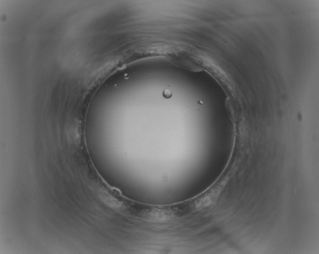 X0000062840305200601131331