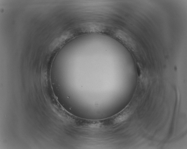 X0000062840306200601131331