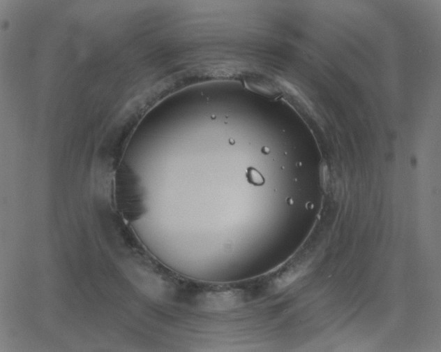 X0000062840307200601131331