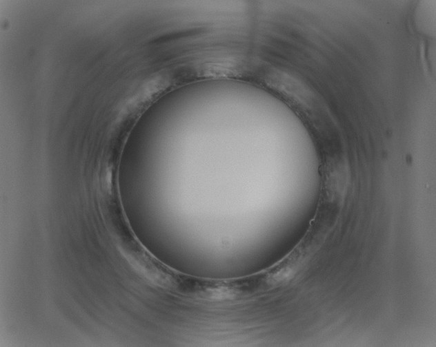 X0000062840310200601131331