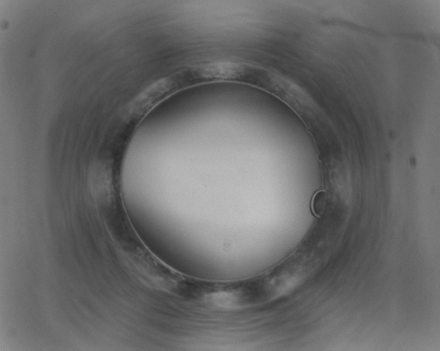 X0000062840312200601131331