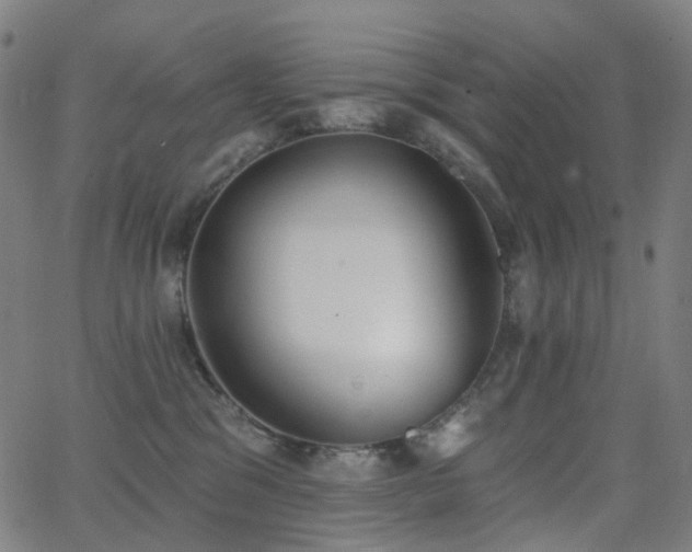 X0000062840329200601131330