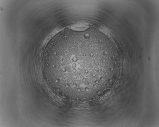 X0000062840337200601131329