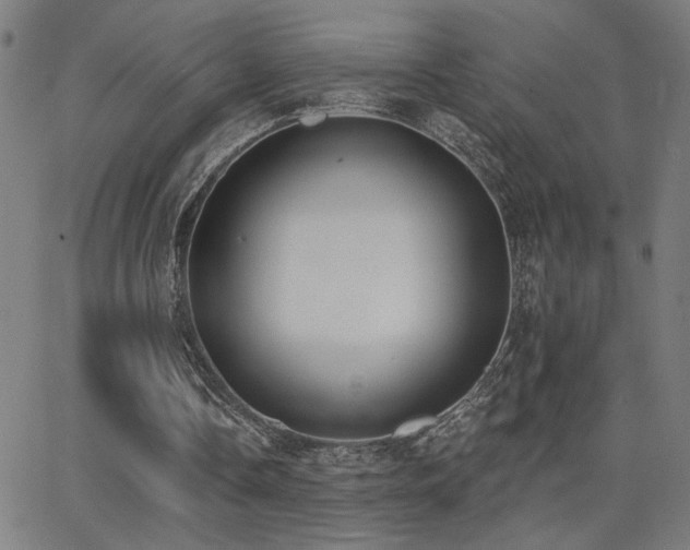X0000062840338200601131329