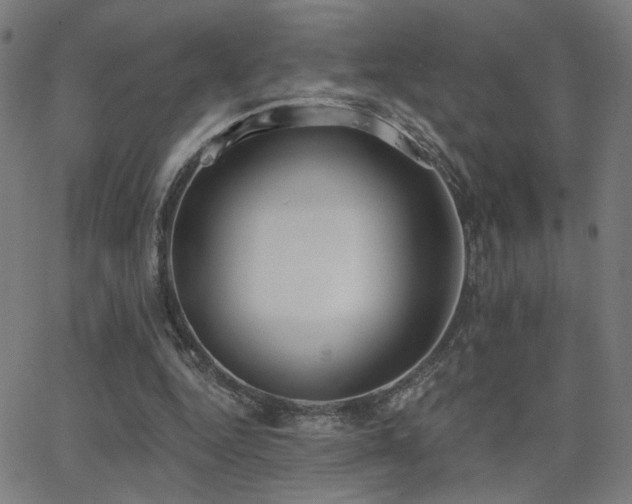 X0000062840344200601131329