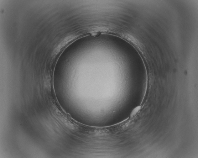 X0000062840345200601131329