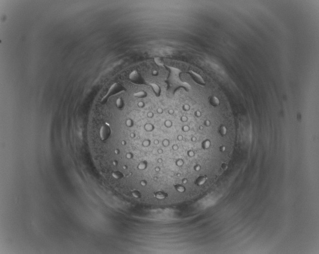 X0000062840363200601131330