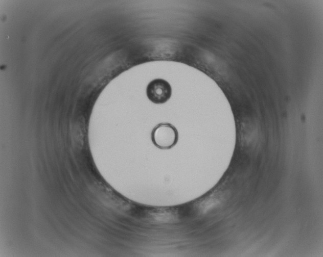 X0000062840370200601131330