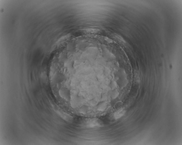 X0000062840377200601131330