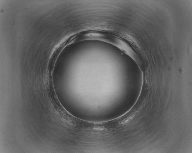X0000062840388200601131329