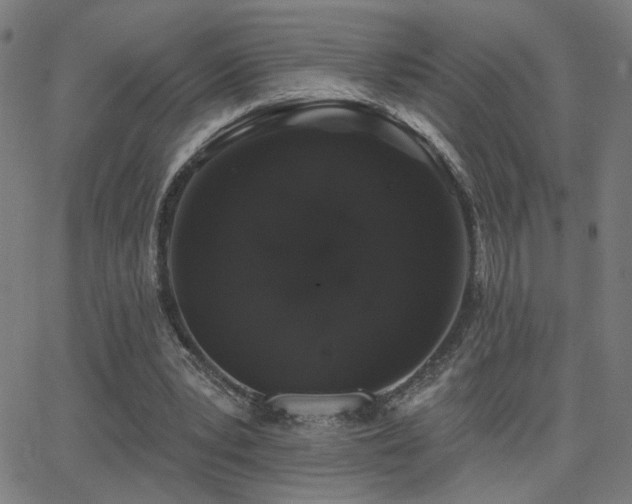 X0000062840391200601131329