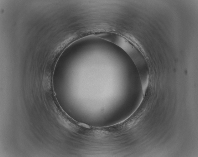 X0000062840393200601131329