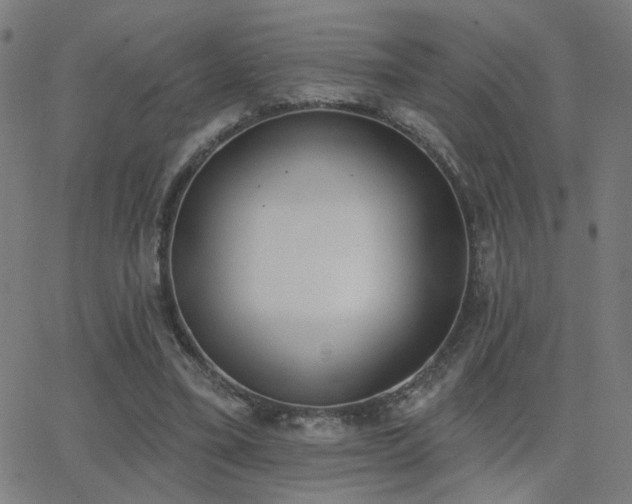 X0000062840395200601131329