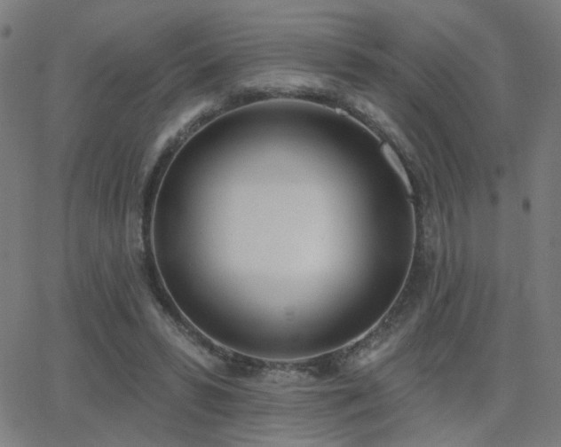 X0000062840399200601131329