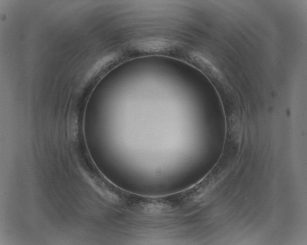 X0000062840400200601131329