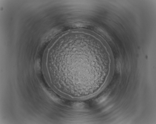 X0000062840410200601131329