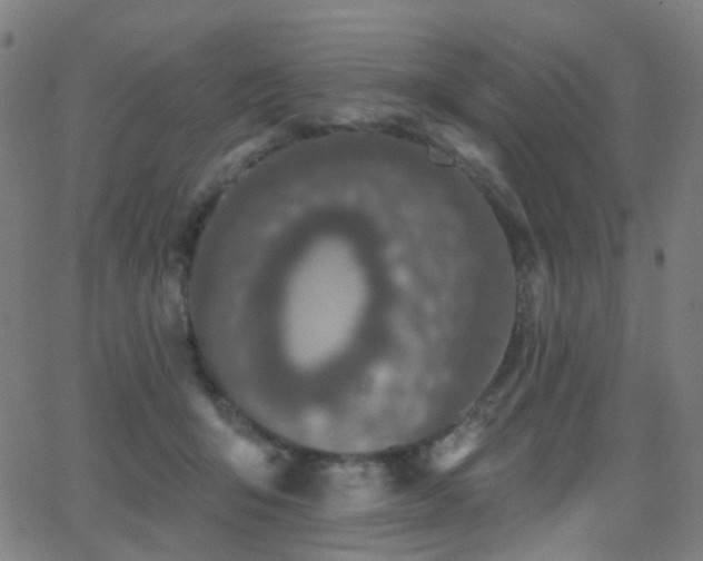 X0000062840415200601131329