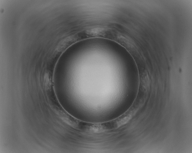X0000062840420200601131329