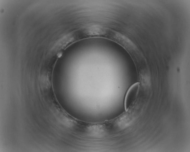 X0000062840422200601131329