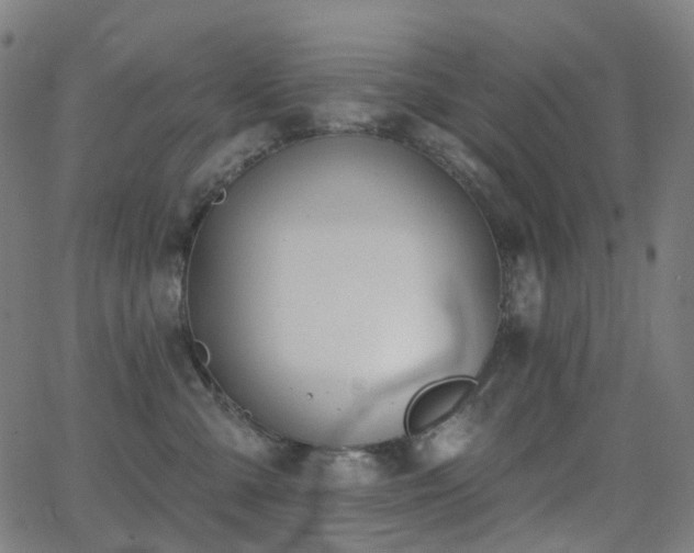X0000062840427200601131329
