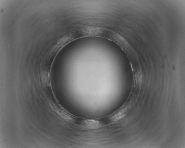 X0000062840429200601131329