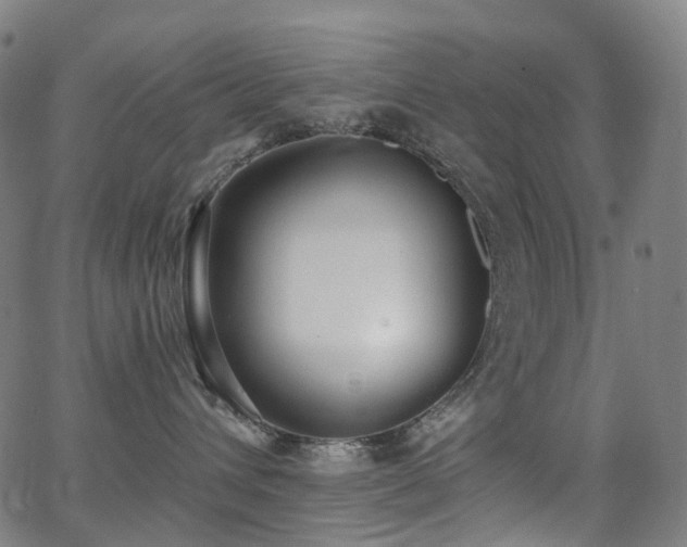 X0000062840432200601131329