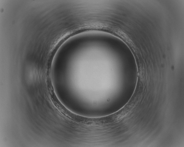 X0000062840434200601131328