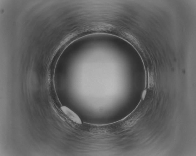 X0000062840435200601131328