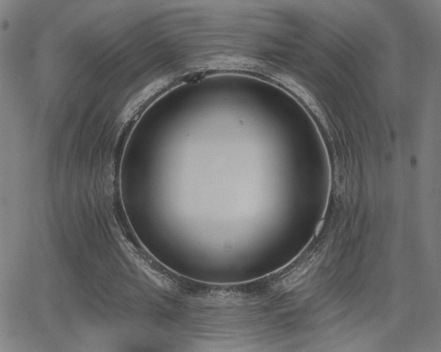 X0000062840437200601131328