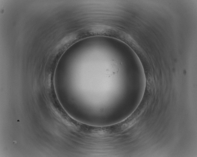 X0000062840454200601131328