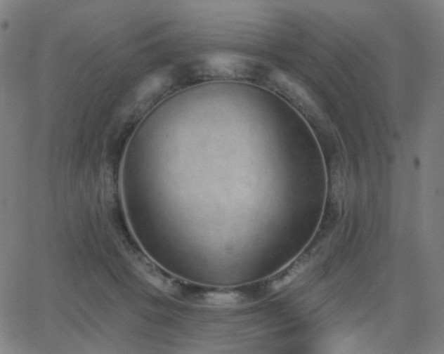 X0000062840457200601131328