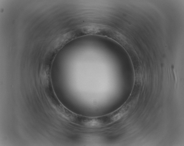 X0000062840460200601131328