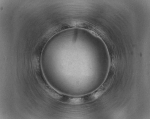 X0000062840461200601131328