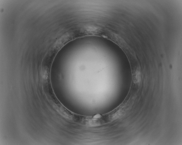 X0000062840472200601131328