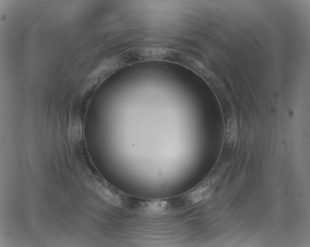 X0000062840474200601131328