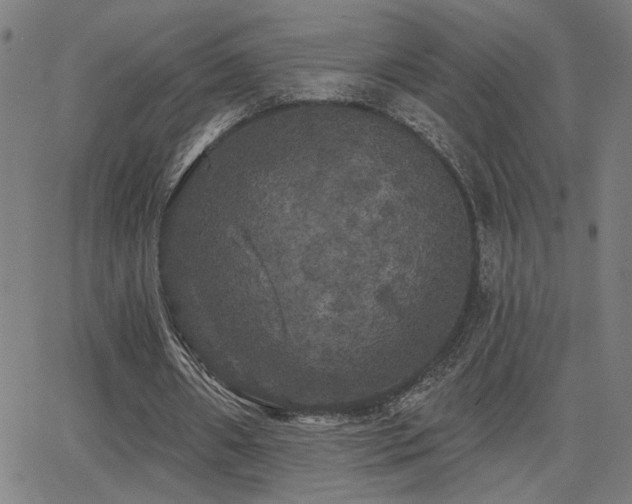 X0000062840482200601131328