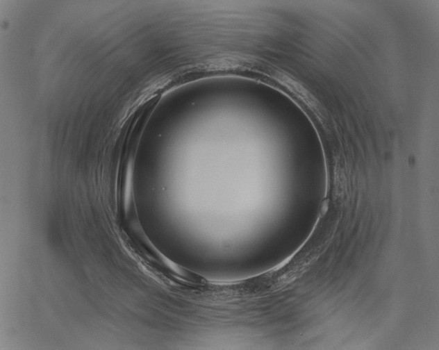 X0000062840485200601131328