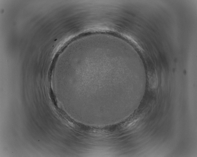 X0000062840487200601131328