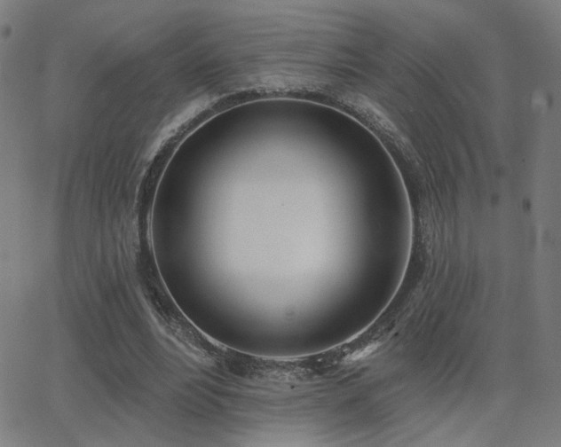 X0000062840488200601131328