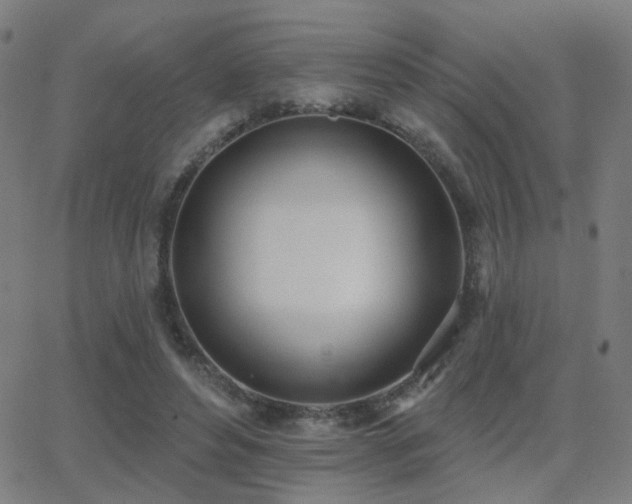 X0000062840496200601131327