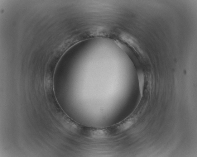 X0000062840513200601131327