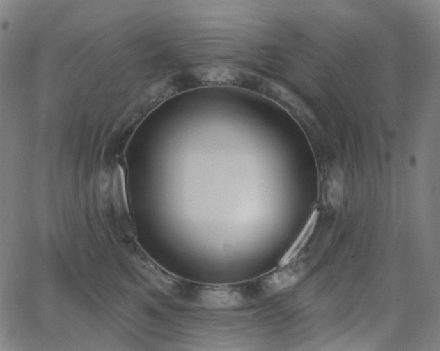 X0000062840521200601131327